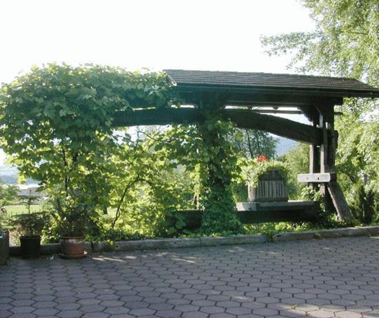 Hotel Landhaus Nendeln 設備 写真